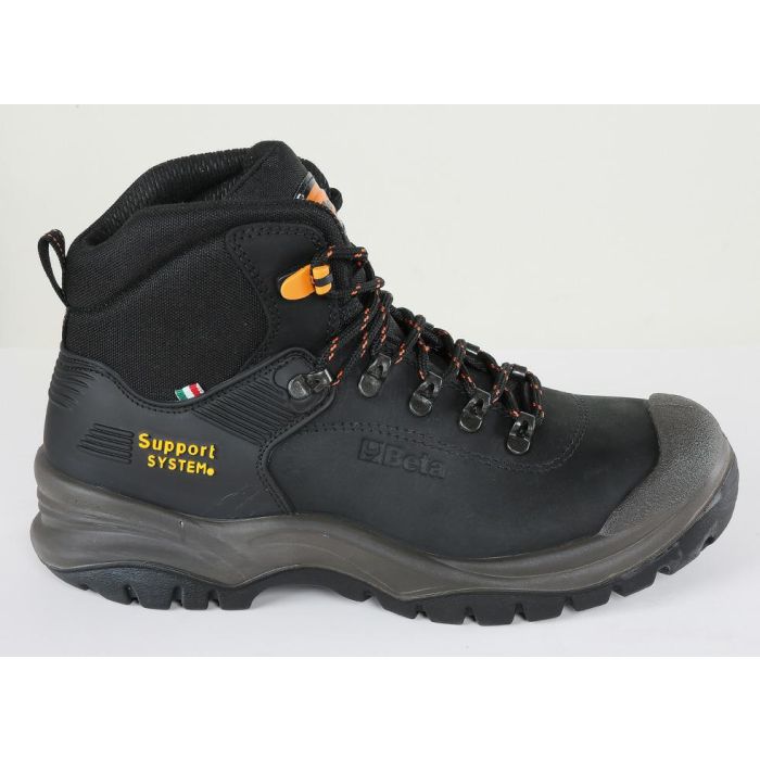 100.jpg