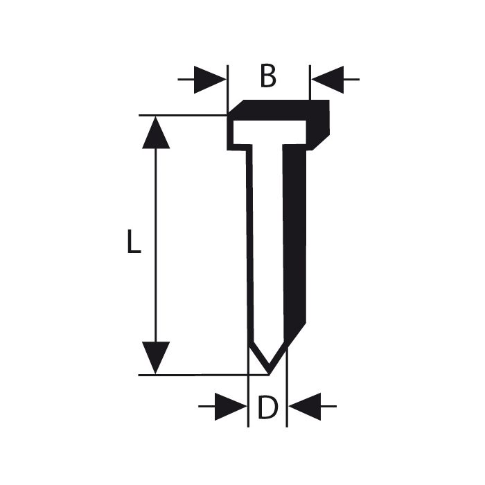 2608200500.jpg