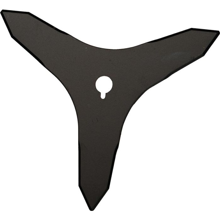 729021-0_C1C0.jpg