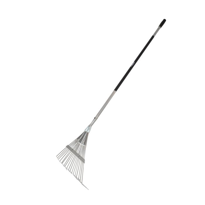 AW64305.jpg