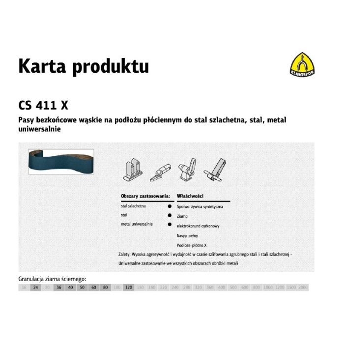 CS411X_pasy.jpg