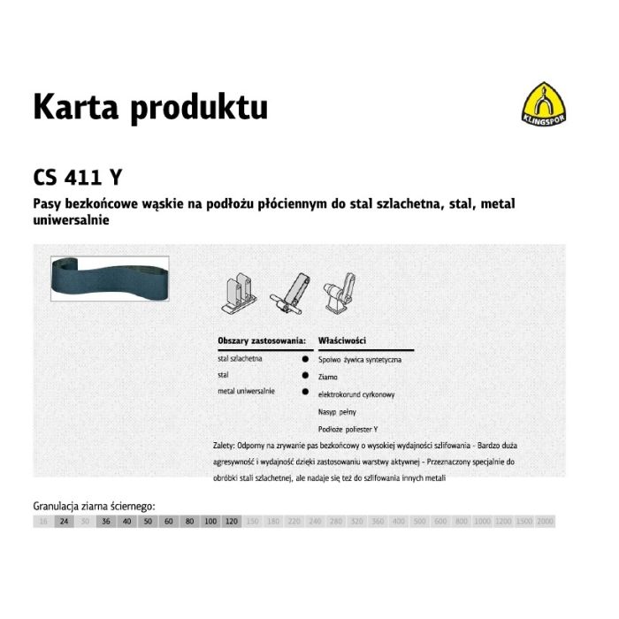CS411Y_pasy.jpg
