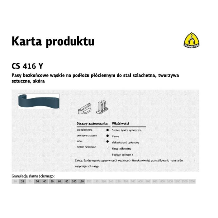 CS416Y_pasy.jpg