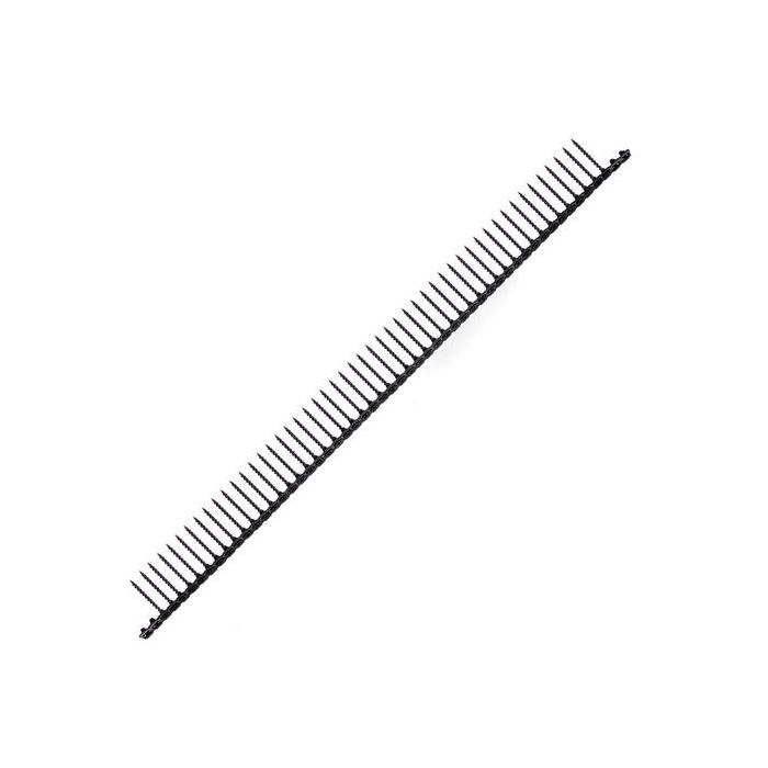 DWF4100350.JPG