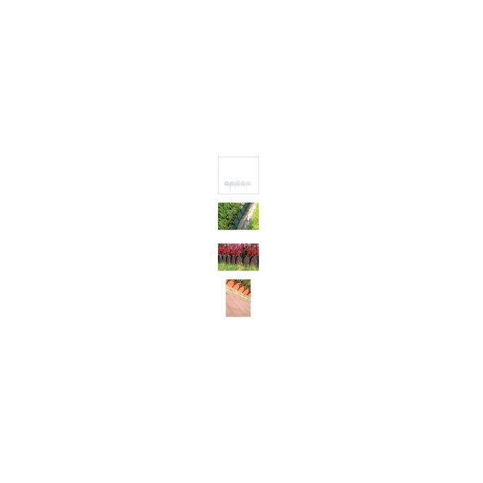 IKRA-S449.png