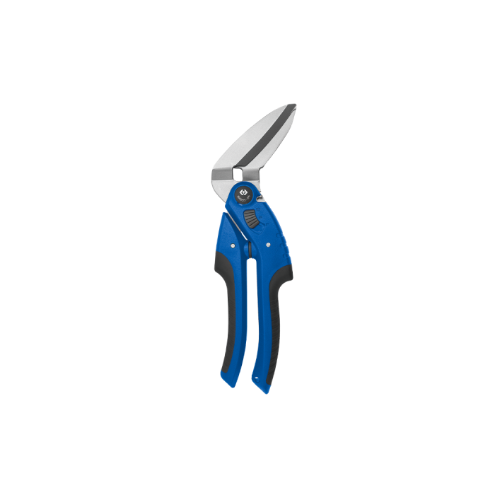 K1.png