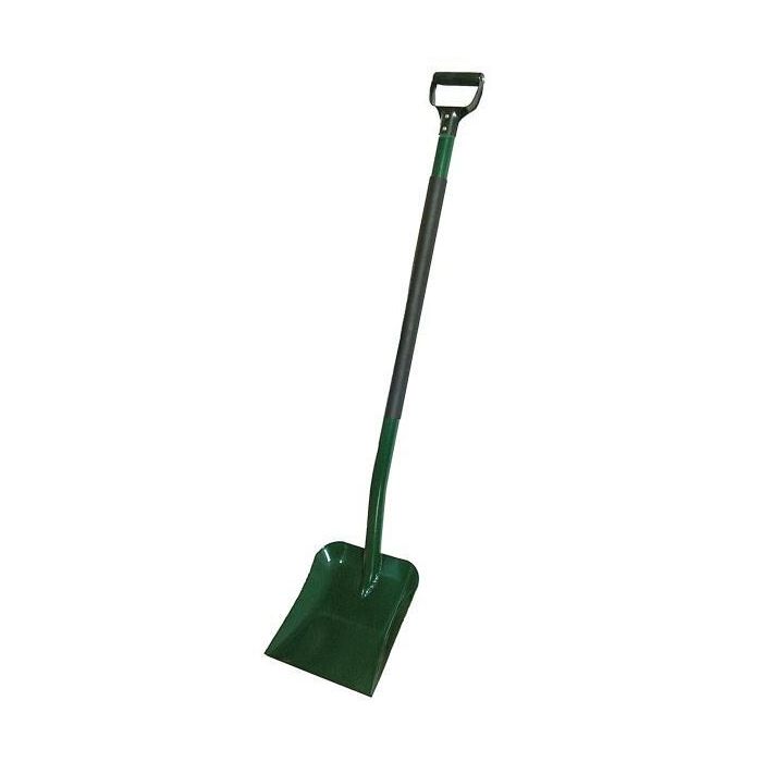 KD206.JPG