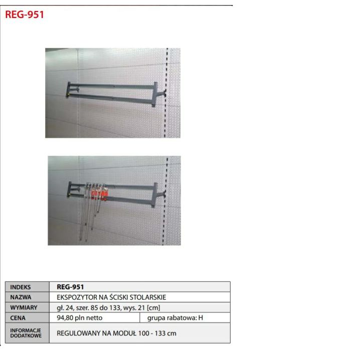 REG951.jpg