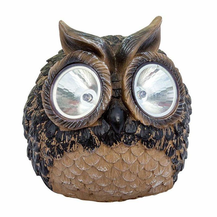 VO02401-1.jpg