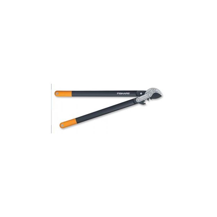 bi_2.jpg
