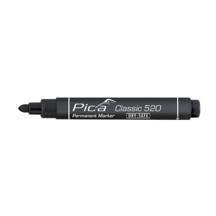 pica520.JPG