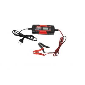 WELDMAN PROSTOWNIK CHARGE  50  6V/12V 104501