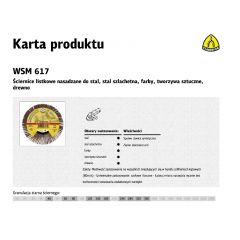 KLINGSPOR ŚCIERNICA LISTKOWA NASADZANA 125mm WSM615 gr.180 262957