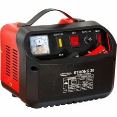 PROSTOWNIK WELDMAN STRONG  20  6V/12V LCD 103222