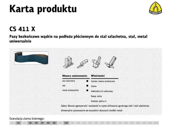 CS411X_pasy-72905