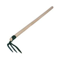 9250.jpg