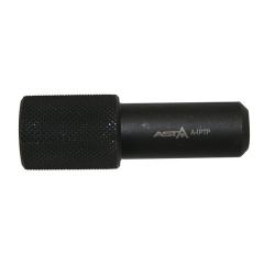 A-IPTP.JPG