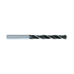 ADOLIN.jpg