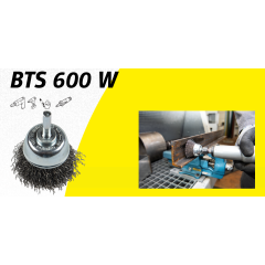 BTS600W.PNG
