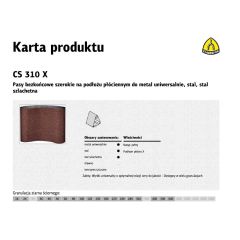 CS310X_pasy.jpg