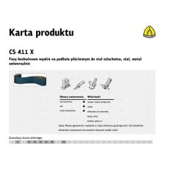 CS411X_pasy.jpg