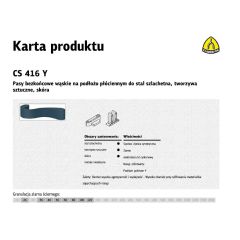 CS416Y_pasy.jpg