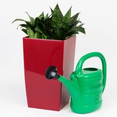 PIKSP03-G642a.jpg