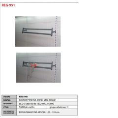 REG951.jpg