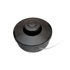 aw70100.jpg