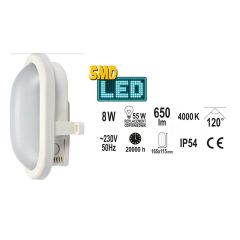 YT-81834.JPG-57644