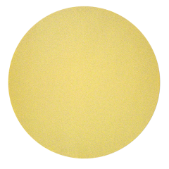 siaone_Disc_0_holes.png