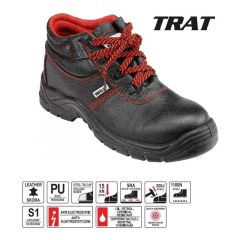 trat.JPG